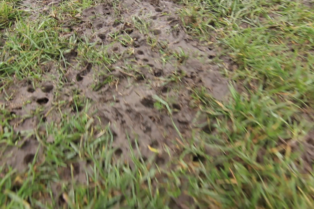 A still from the film “End of the Day” by Graeme Miller, which shows a patch of muddy turf, where holes have been left by football boot studs.